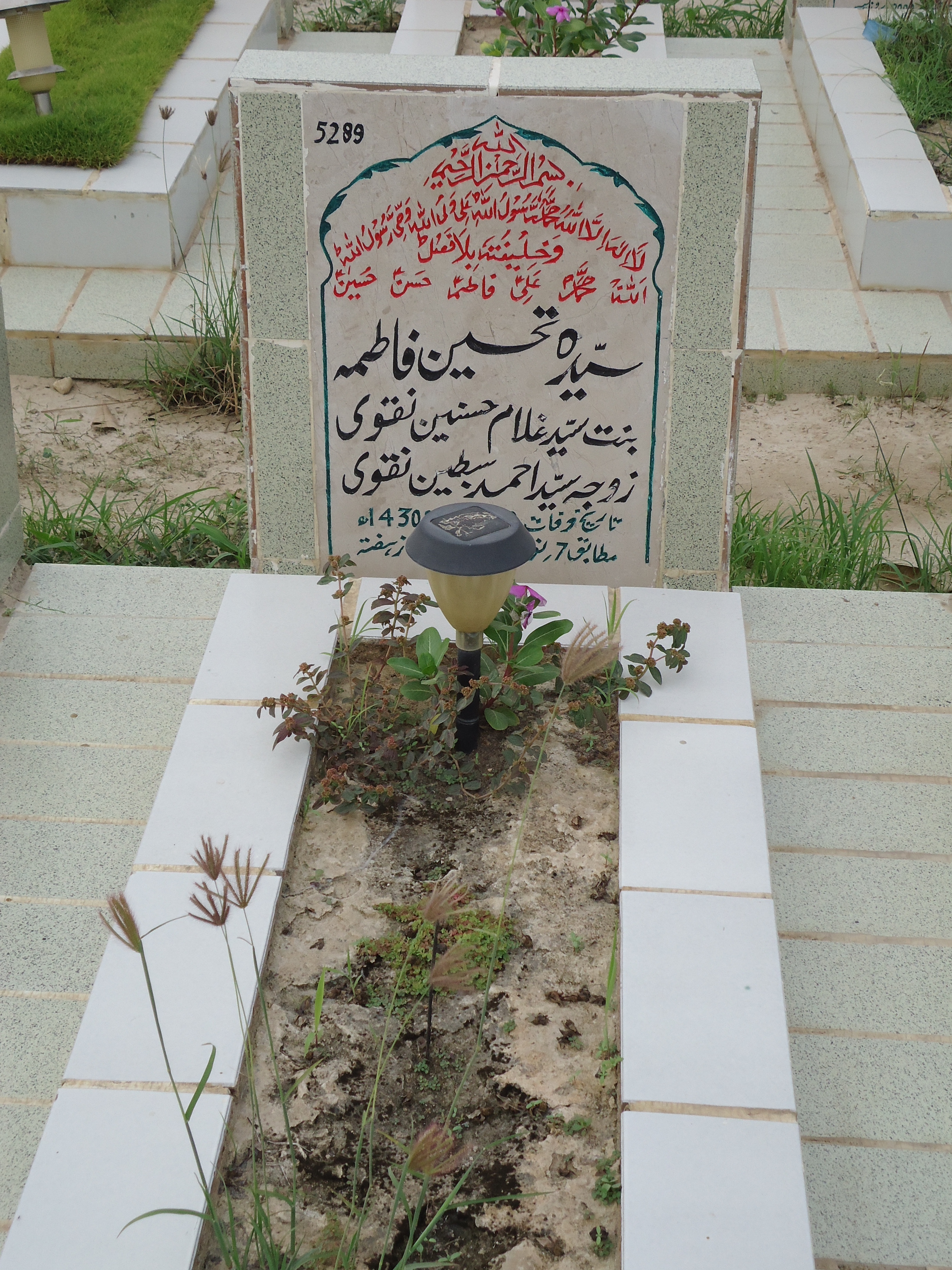 5289 – Syeda Tehseen Fatima